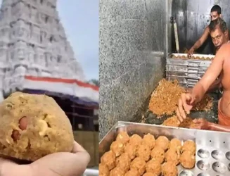 tirumala-tirupati-laddu-cas.webp