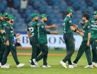 whatsapp-image-2025-09-18-at-11.webp